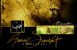 Annie SAUVAT